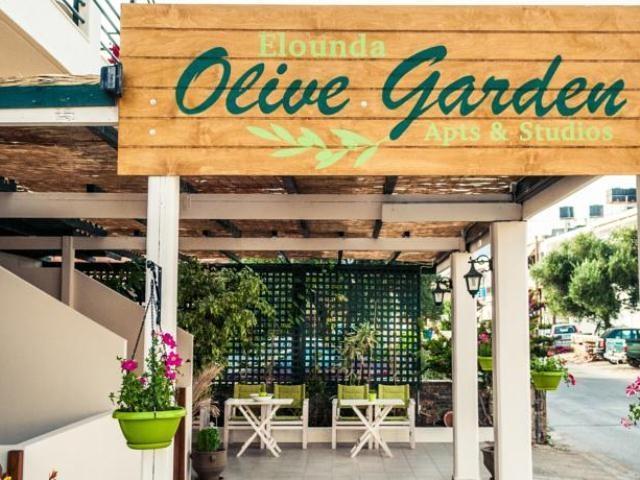 Elounda Olive Garden Apts & Studios Eksteriør billede