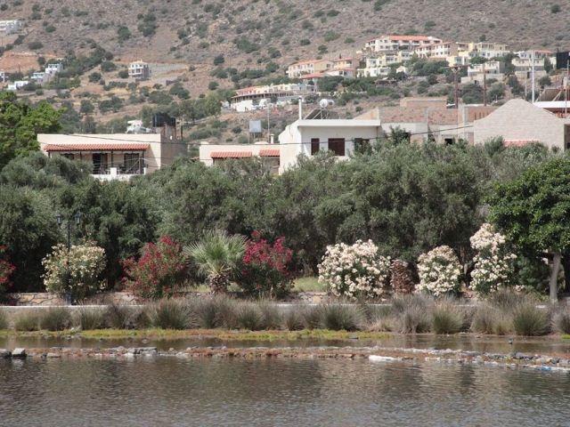 Elounda Olive Garden Apts & Studios Eksteriør billede