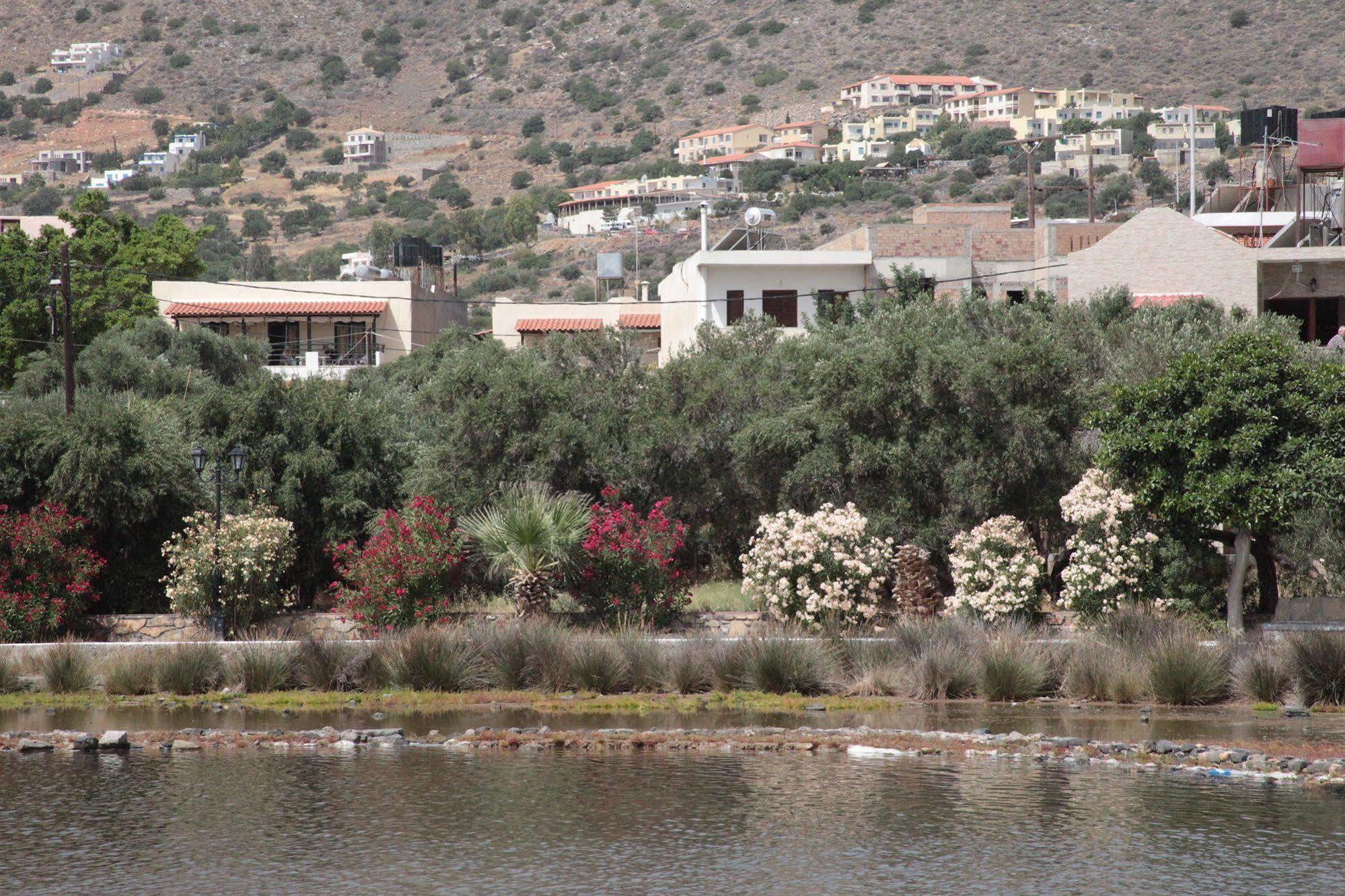 Elounda Olive Garden Apts & Studios Eksteriør billede