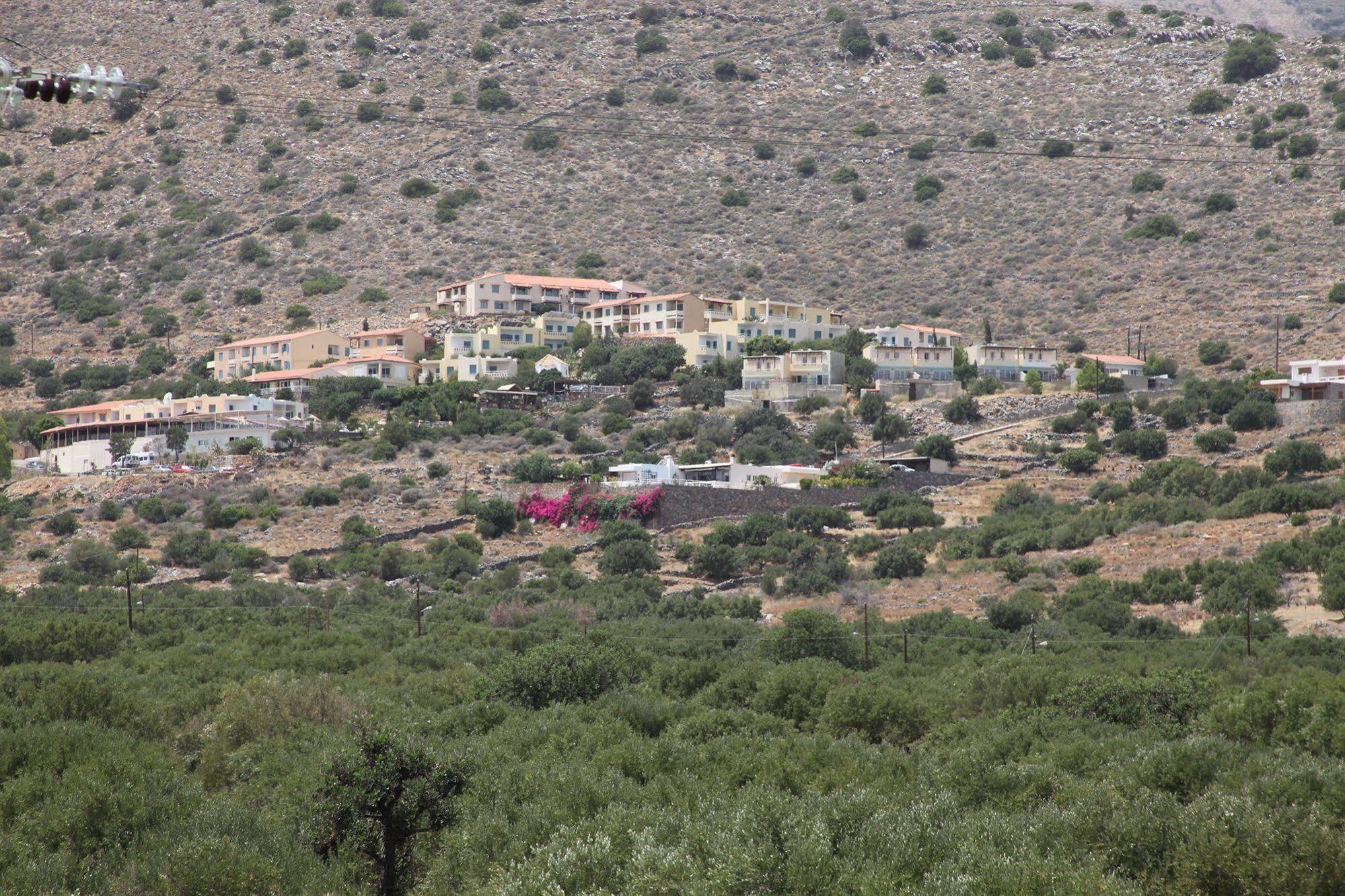 Elounda Olive Garden Apts & Studios Eksteriør billede